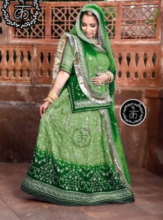 Beautiful Double Shaded Rajputi Dress