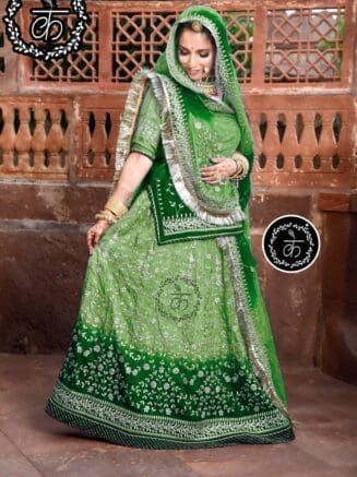 Beautiful Double Shaded Rajputi Dress
