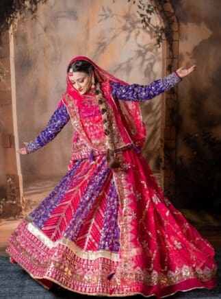 Rajputi poshak for women