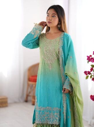 photo_6_2026-02-06_21-19-02